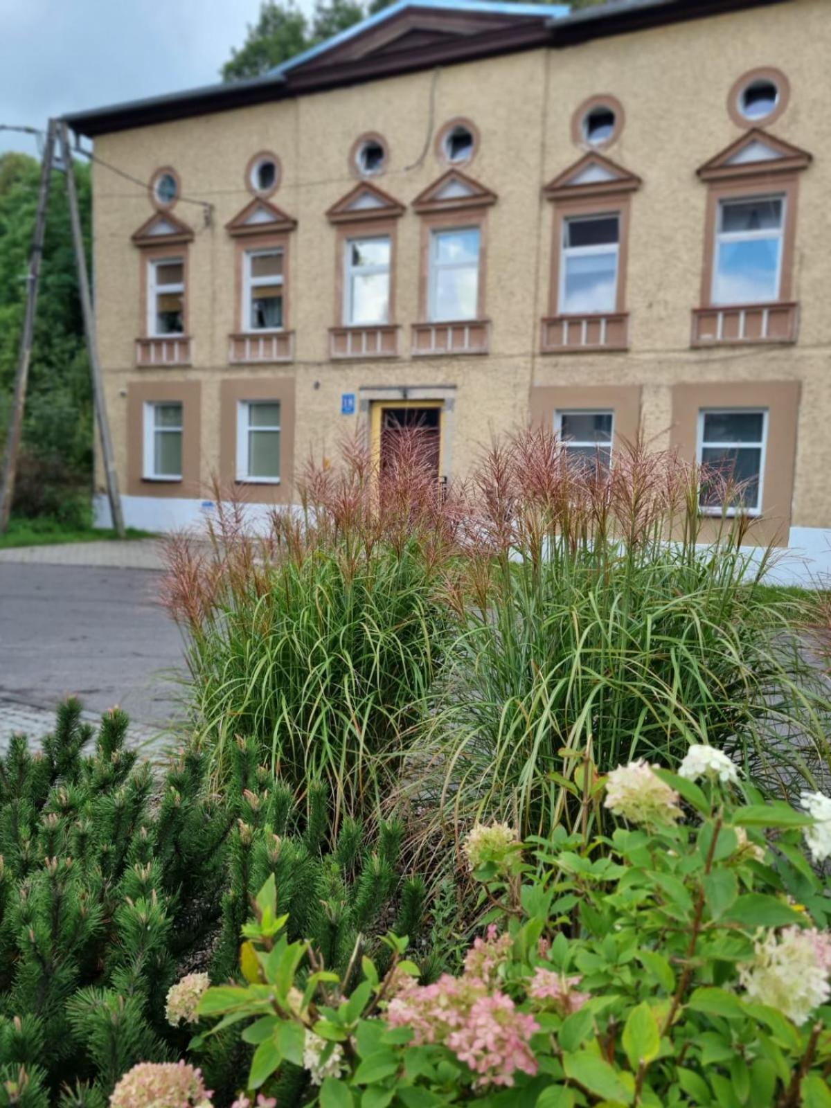 Apartment Jedlinka A *